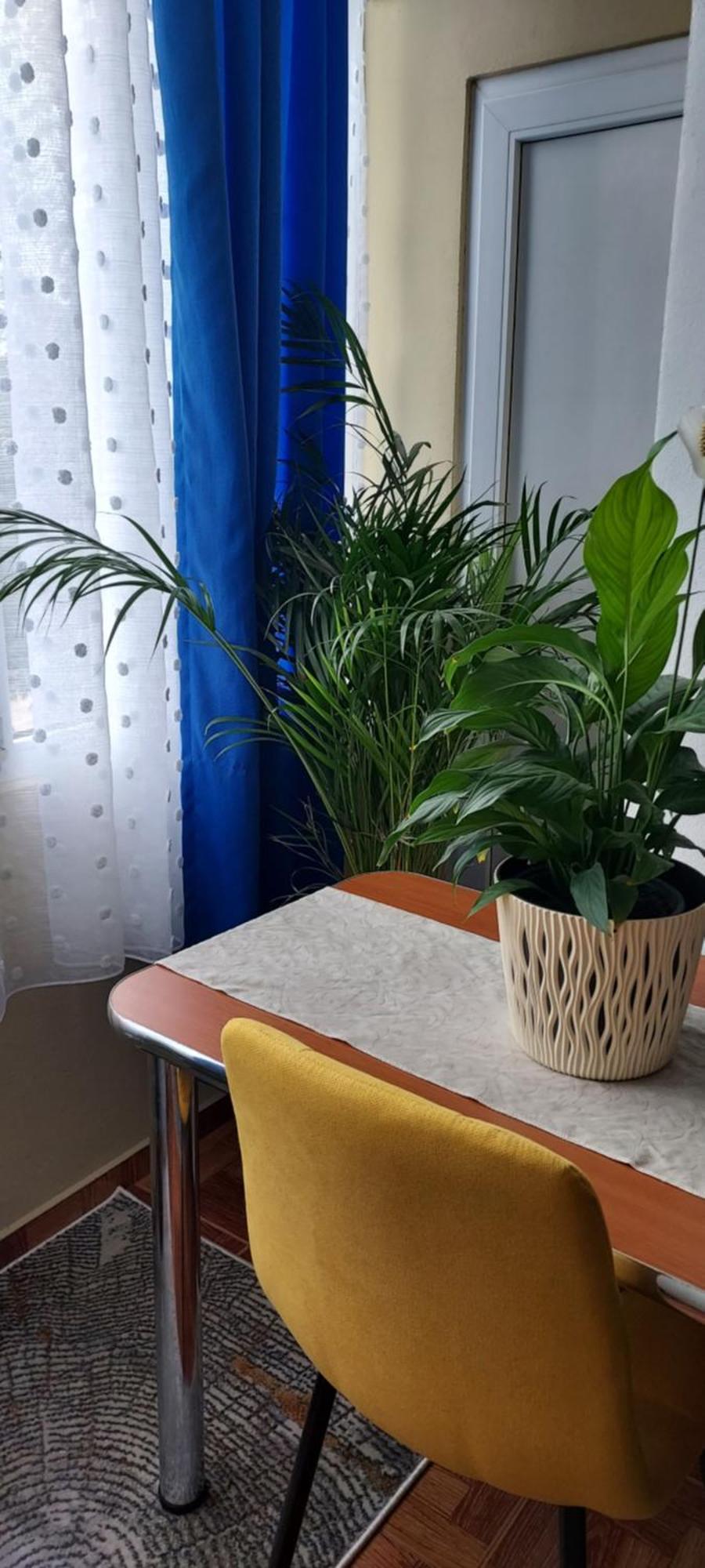 Apartament Gara Mica Apartment อาราด ภายนอก รูปภาพ
